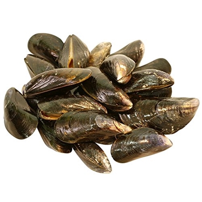 Picture of EPIC WHOLE SHELL ON MUSSELS 1K